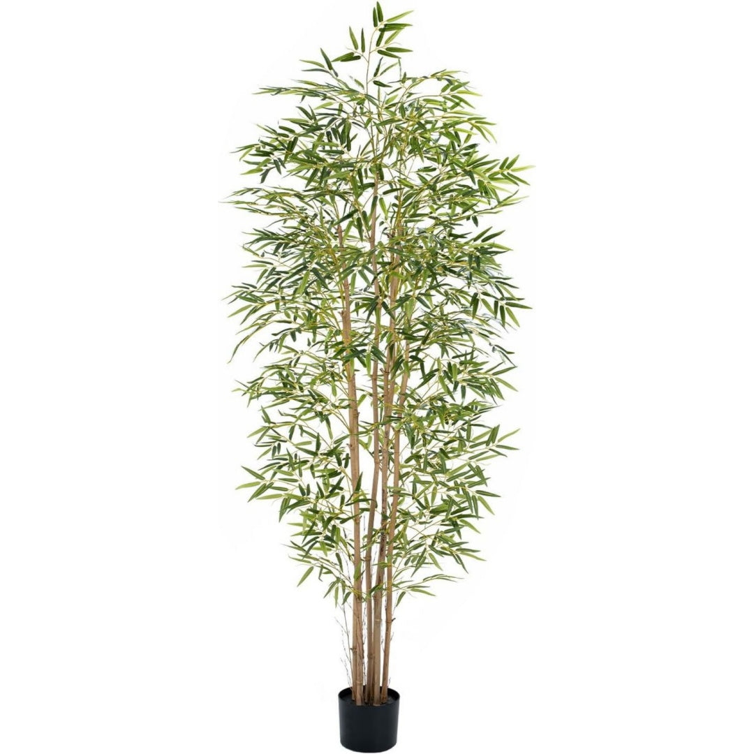Arredo per soggiorno naturale con ante